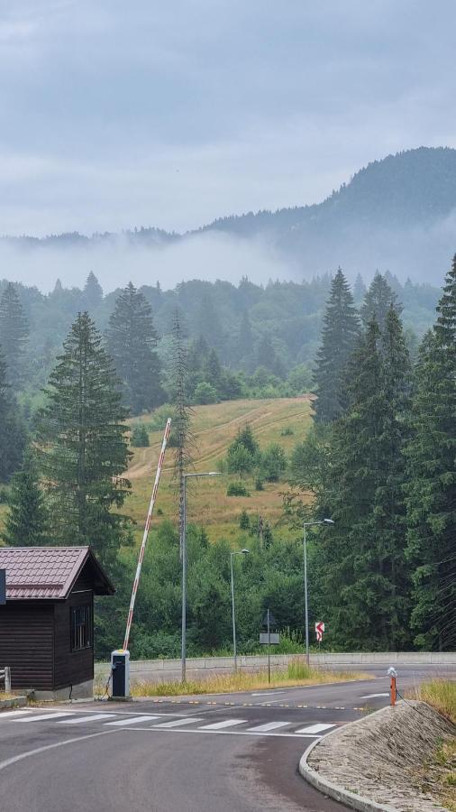 Charming family condo in Silver Mountain Poiana Brasov Esterno foto