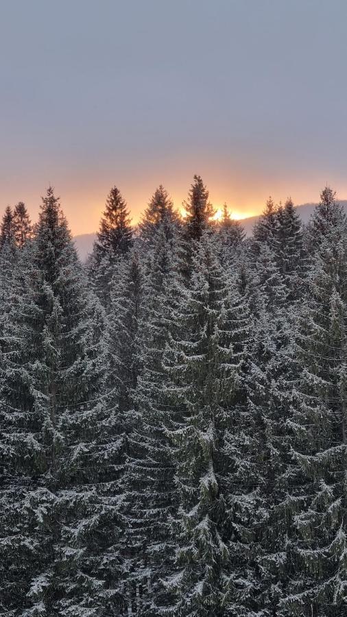 Charming family condo in Silver Mountain Poiana Brasov Esterno foto
